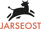Jarseost Logo